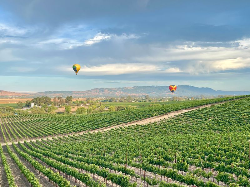 Sonoma County, California — Coastal Vineyard Ballooning