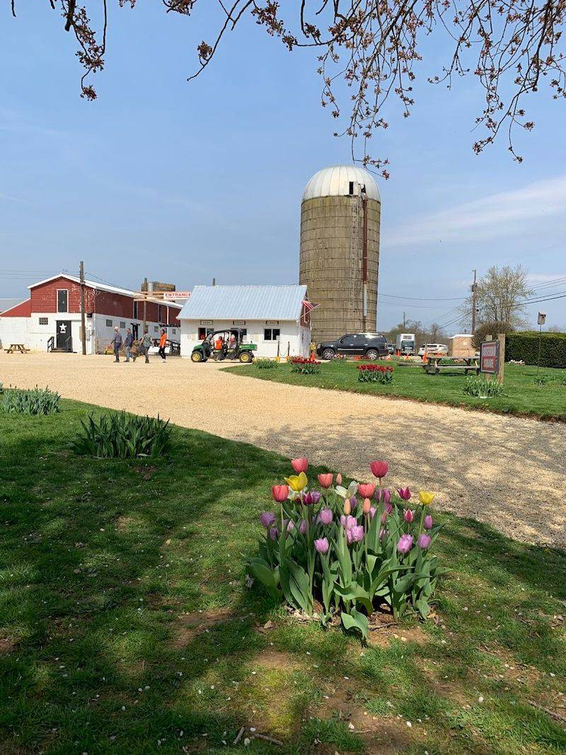 The Property Is Well-Organized for Large Crowds