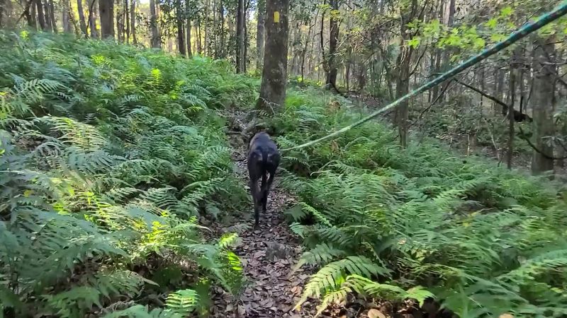 Trail Etiquette: Small Things Matter Big