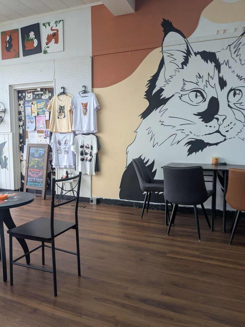 Merch You Will Actually Wear