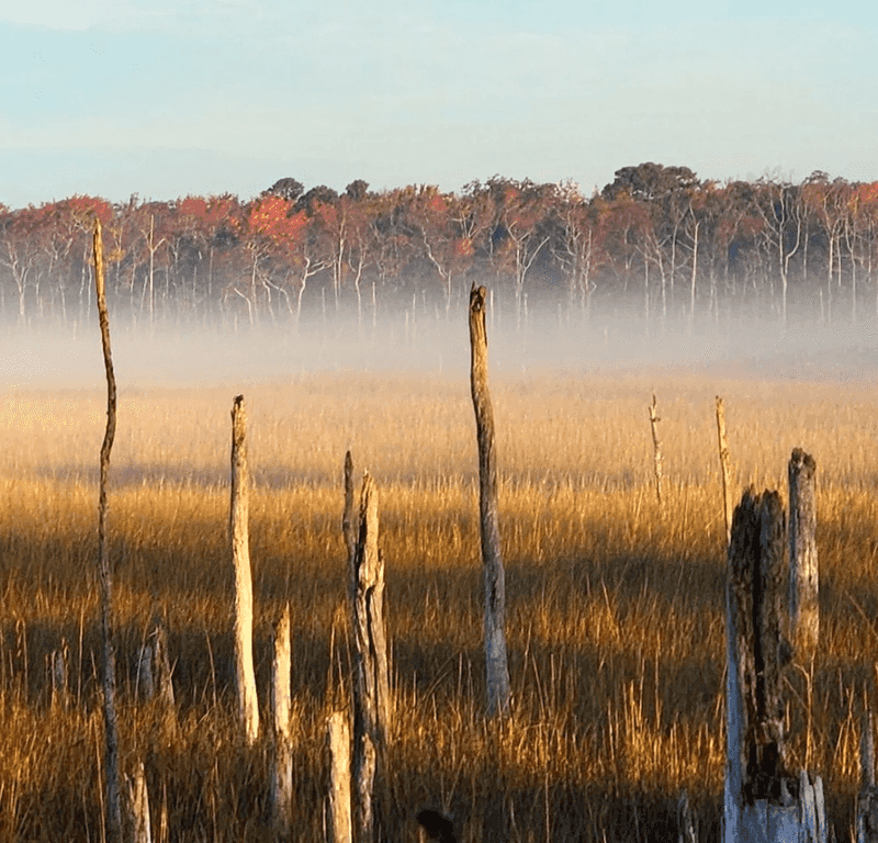 A Calm Day Trip Plan