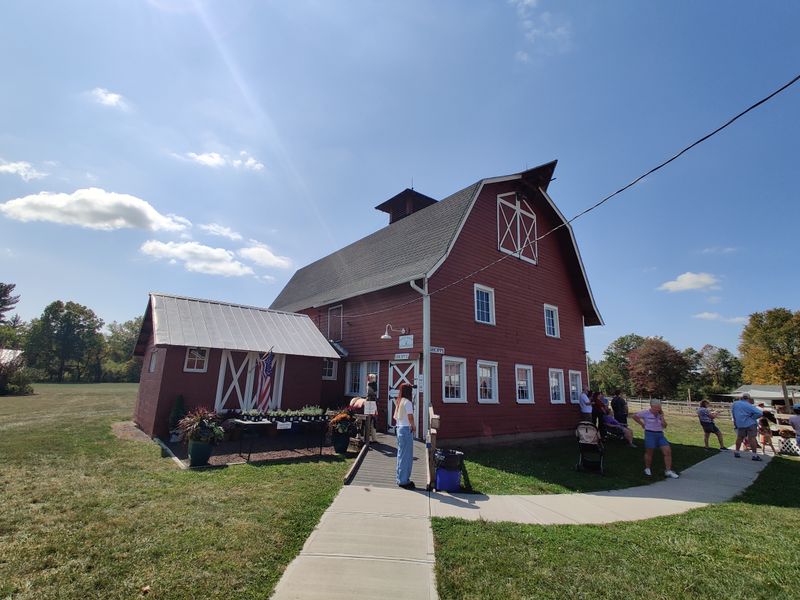 Free Admission and Smart Budgeting