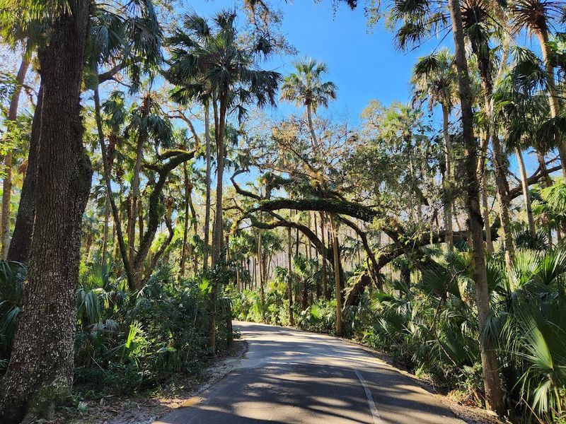 Planning Your Visit: Practical Tips for First-Timers