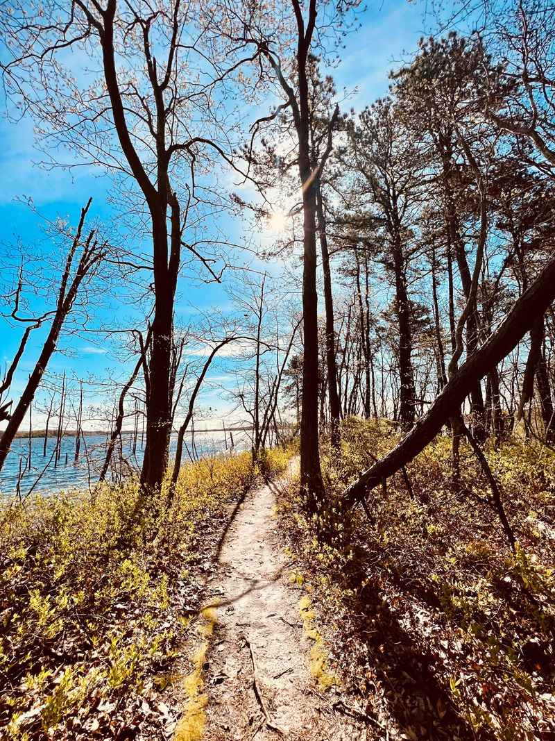 How It Feels To Unplug