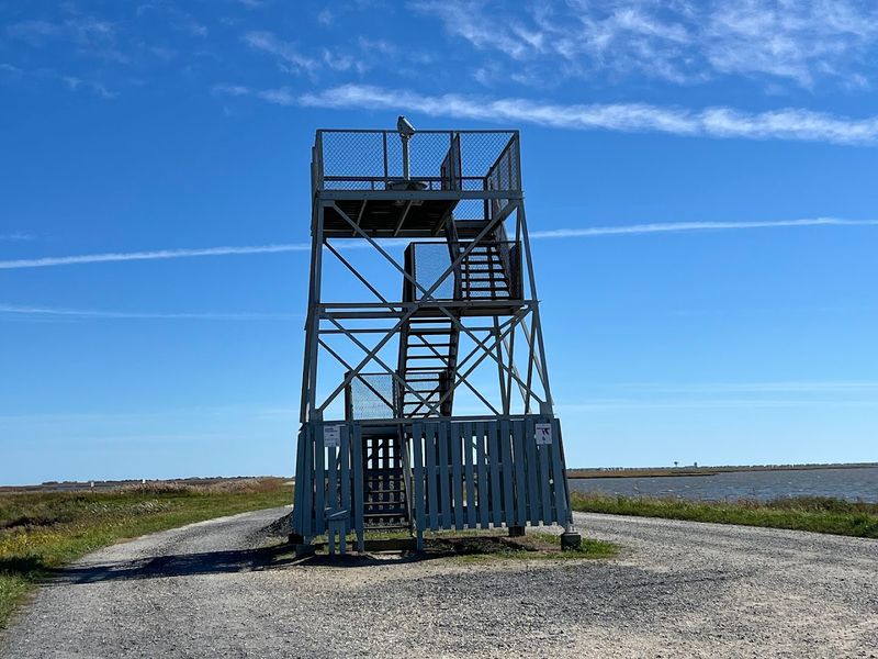 The Observation Towers