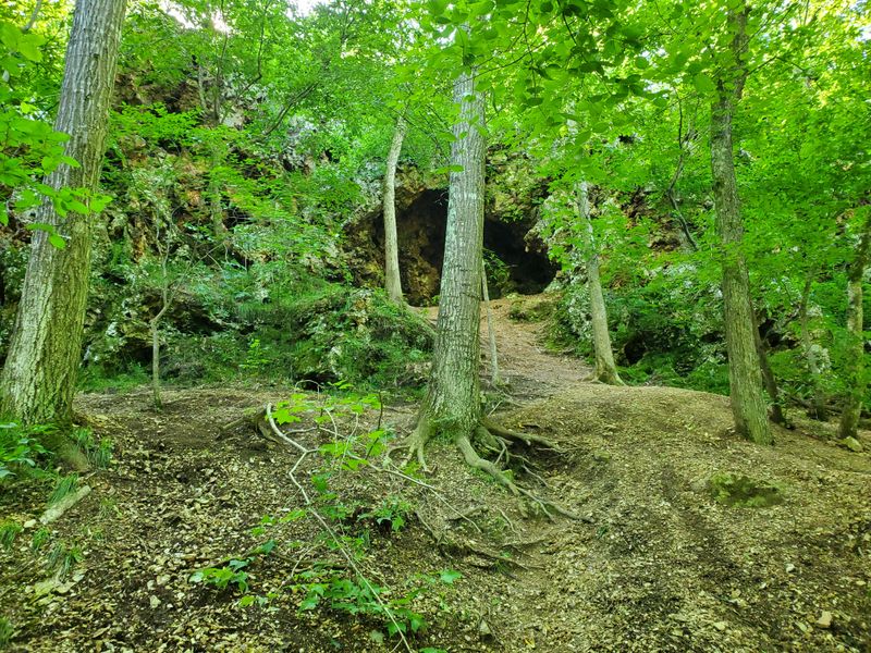 Wildlife Watching for the Observant Visitor