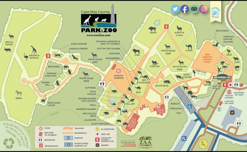 Food Options Inside the Zoo