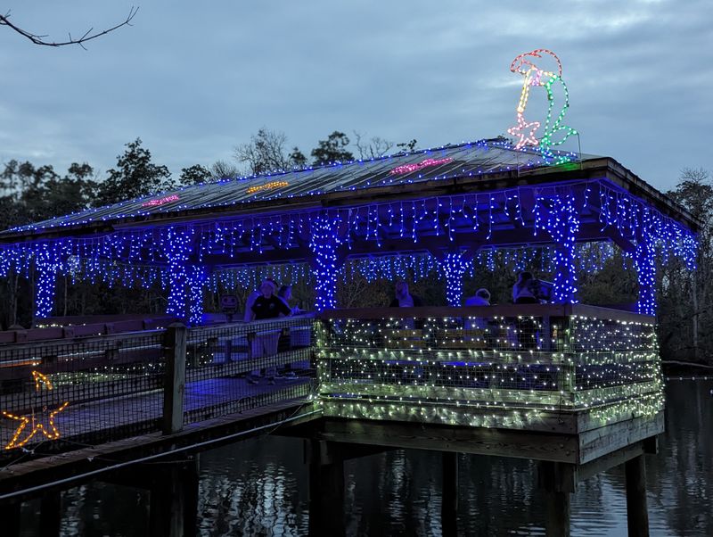 Holiday Lights and Seasonal Events