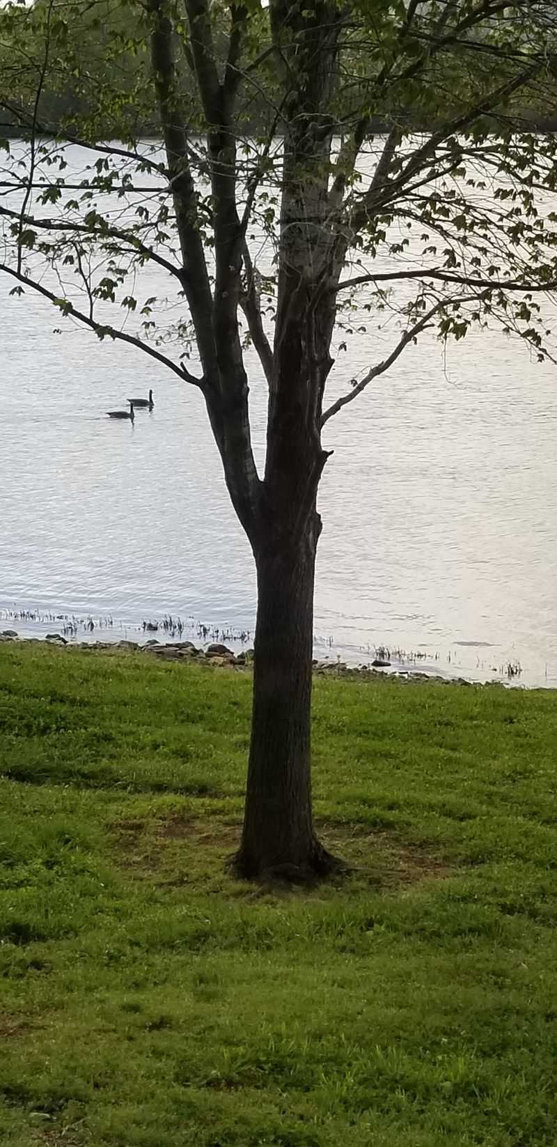 Wildlife Watching & Birding Hotspot