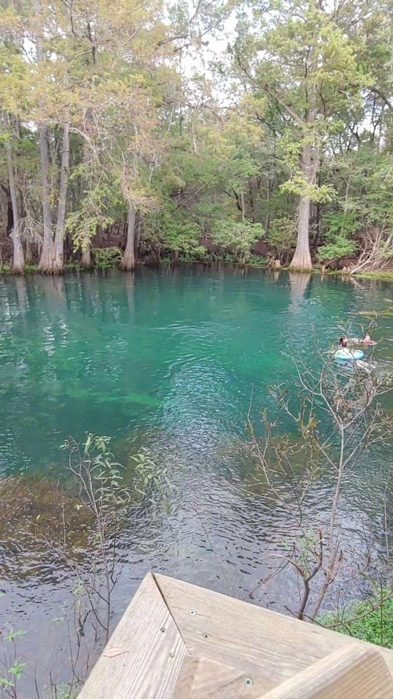 Concession Stand and Gear Nook