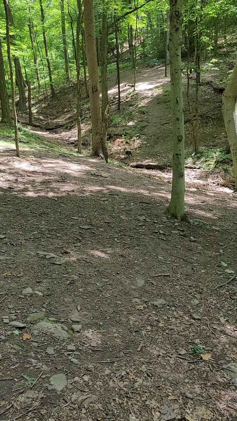 Biking The Mixed Terrain