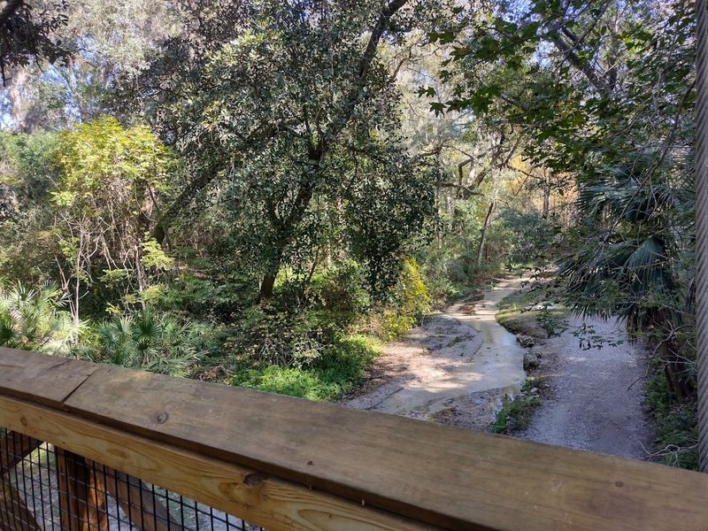 The Scenic Driving Loop and Accessibility