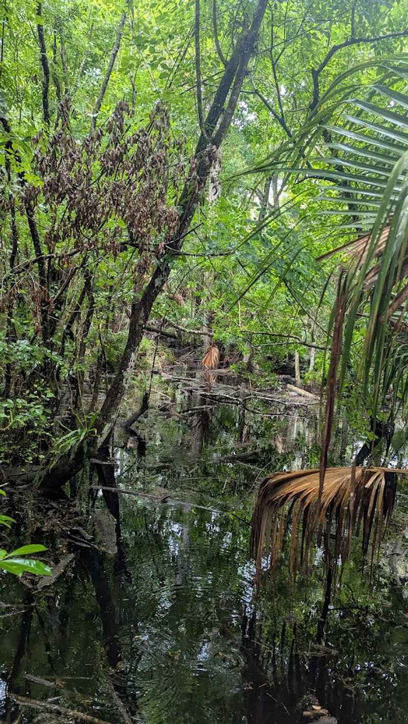 Camping at the Park for a Full Wilderness Experience