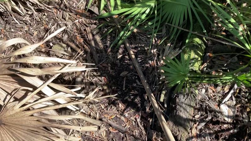 The Scenic Drive to Get There