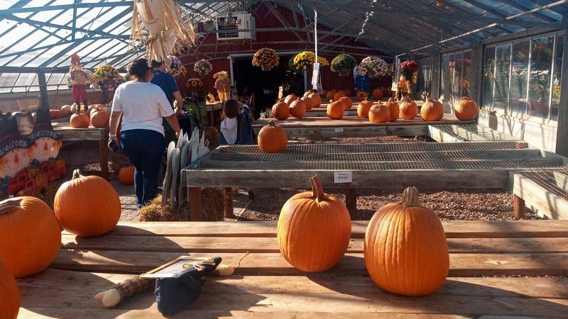 Tips For Beating the Crowds