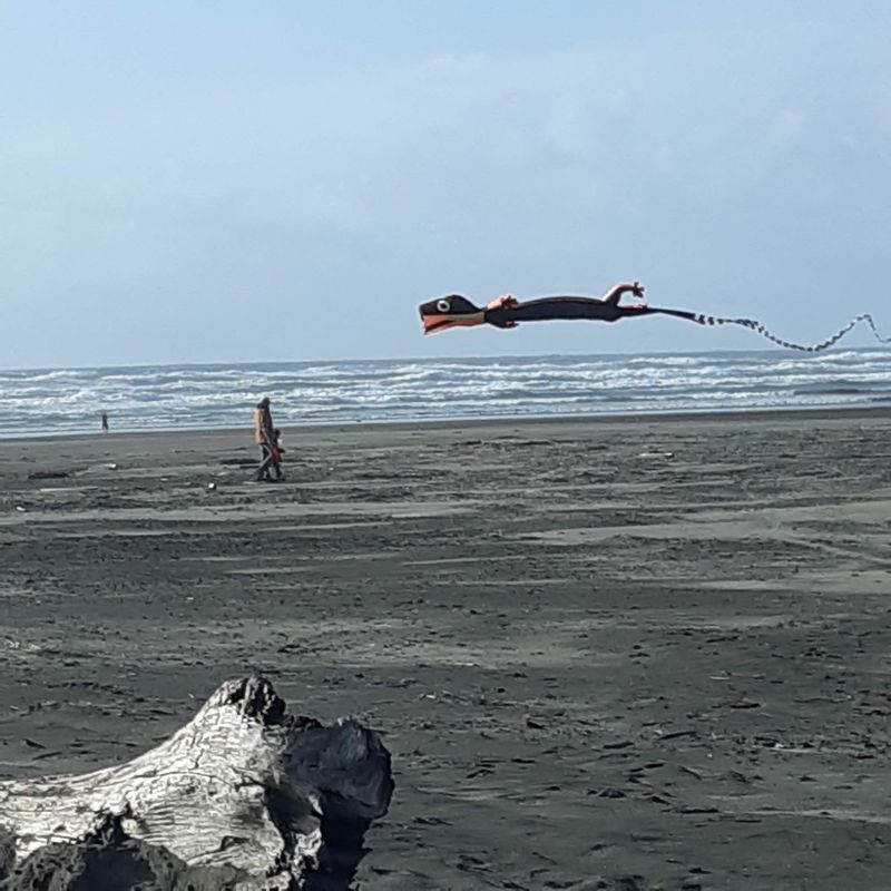 Long Beach Peninsula, Washington, USA