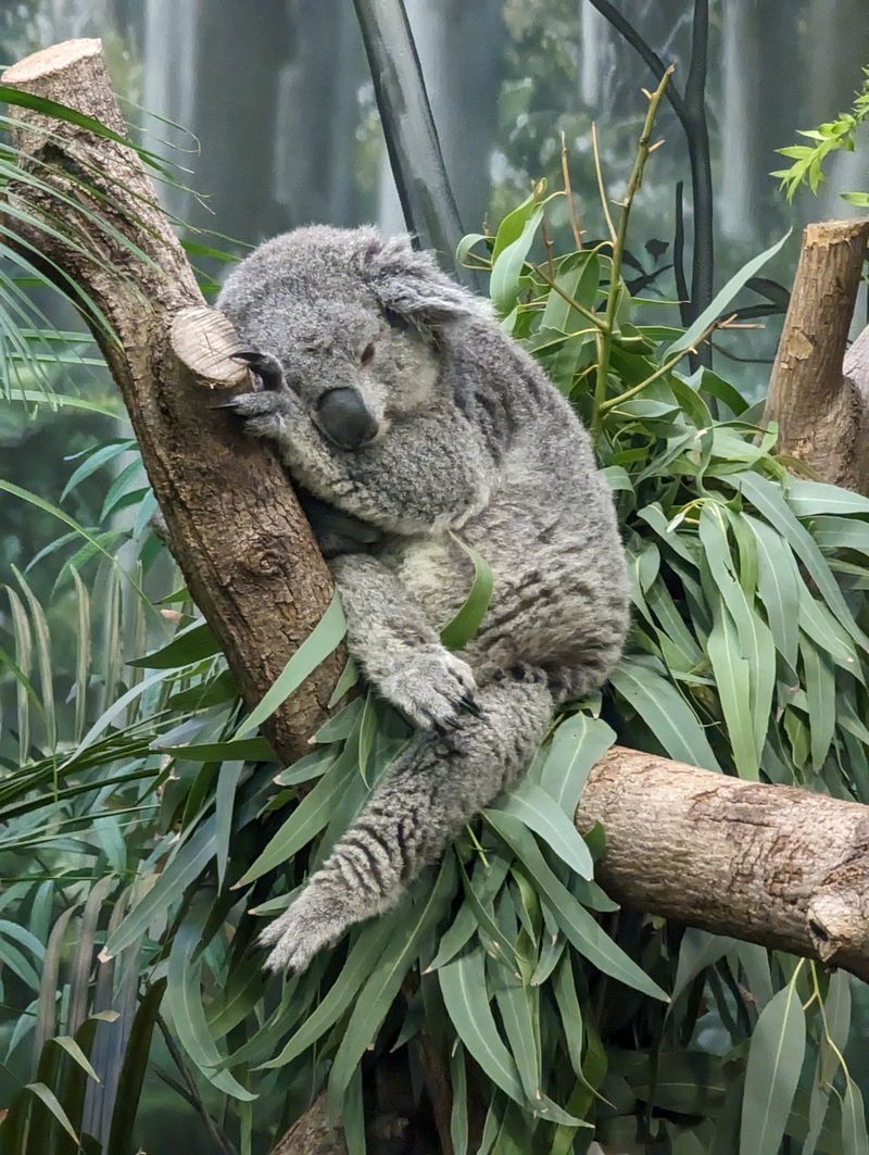 Cleveland Metroparks: A Park System That Spoils You