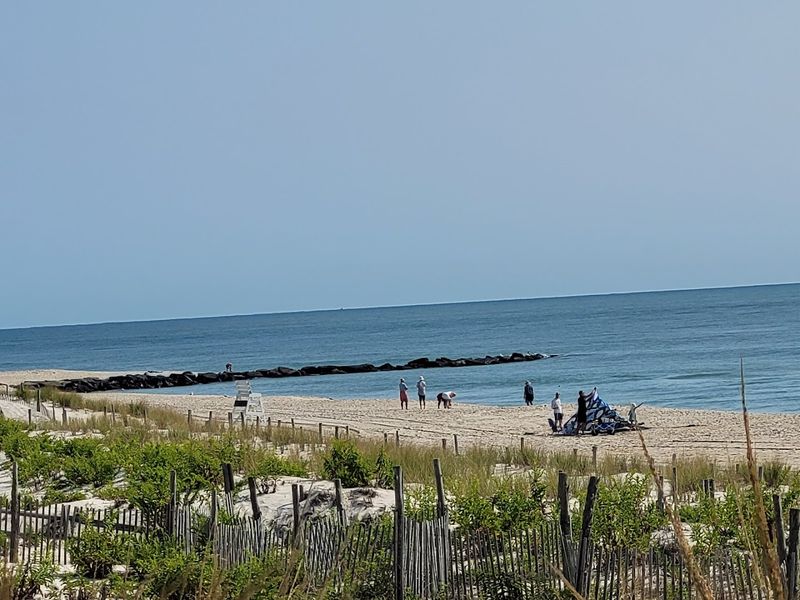 Beach Haven, New Jersey: Long Beach Island's Best-Kept Pace
