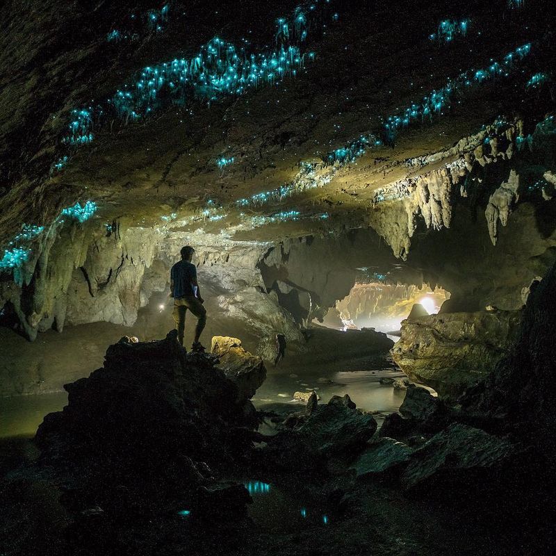 Waitomo Glowworm Caves — Bioluminescent Underworld