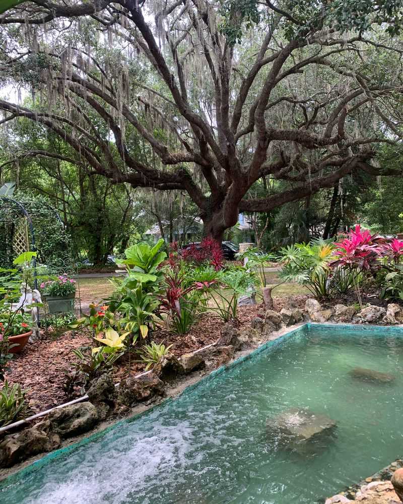 A Final Sip Beside The Lake