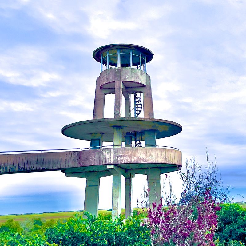 Shark Valley: Pedals, Towers, And Alligator Side-Eye