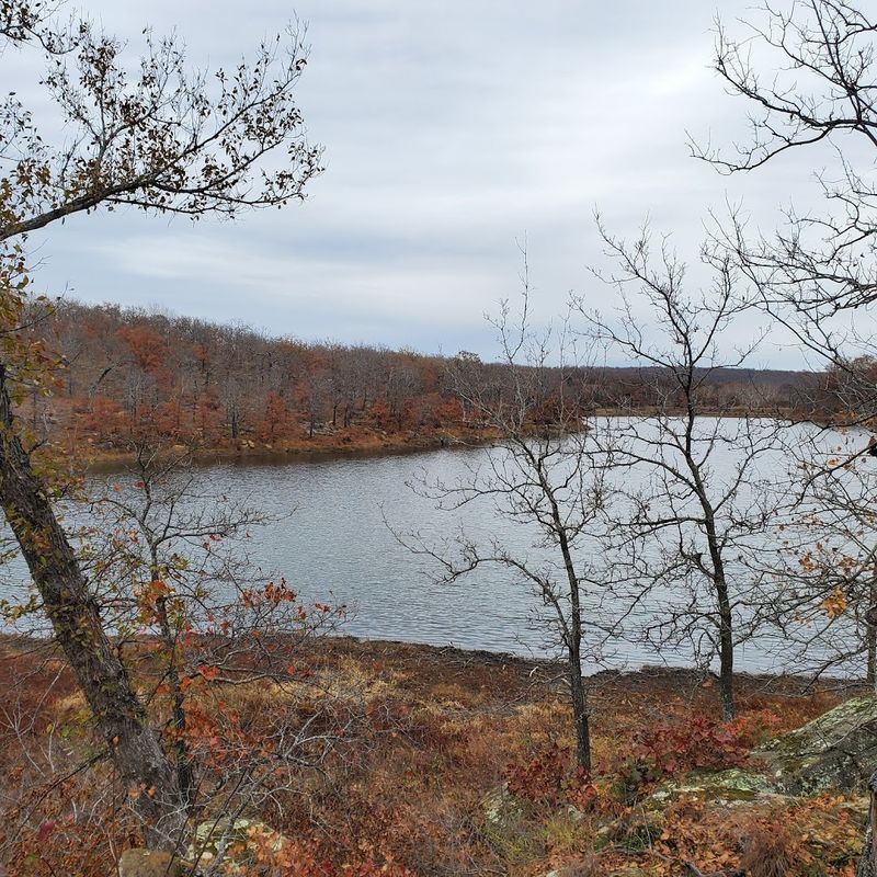 The Best Times of Year to Visit