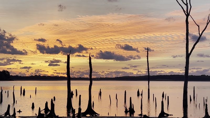 Photography Without The Fuss