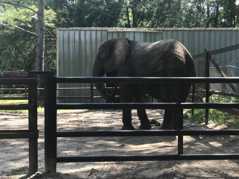 Accessibility Considerations