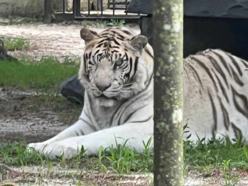 Why This Place Keeps People Coming Back