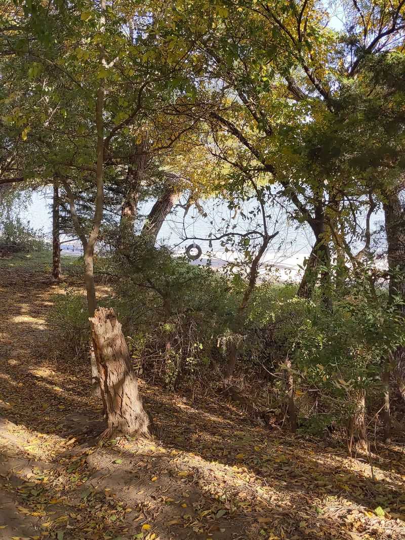 Why This Place Matters