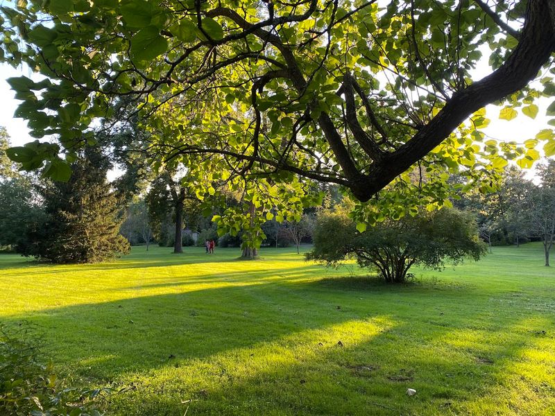 Why Weekday Visits Have a Different Energy