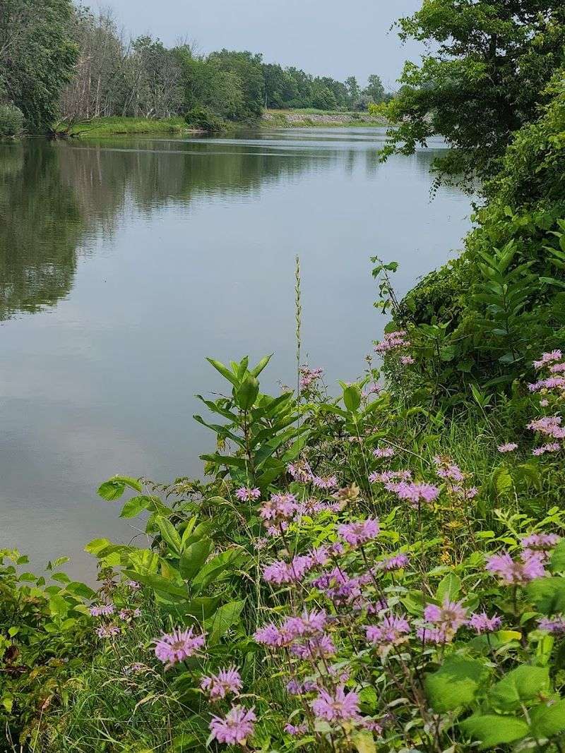 Why This Refuge Deserves a Permanent Spot on Your Michigan Bucket List