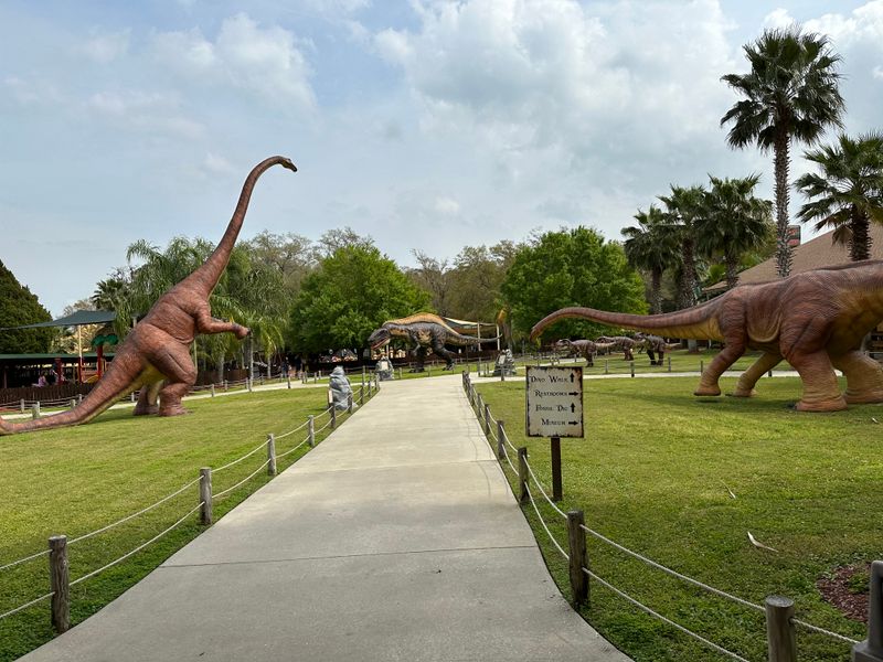 Diplodocus Boardwalk