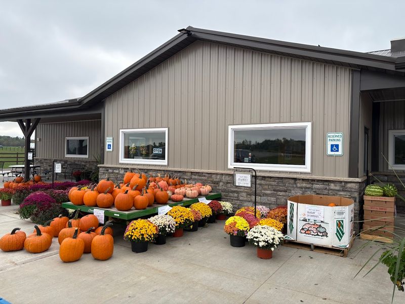 The Atmosphere and Service