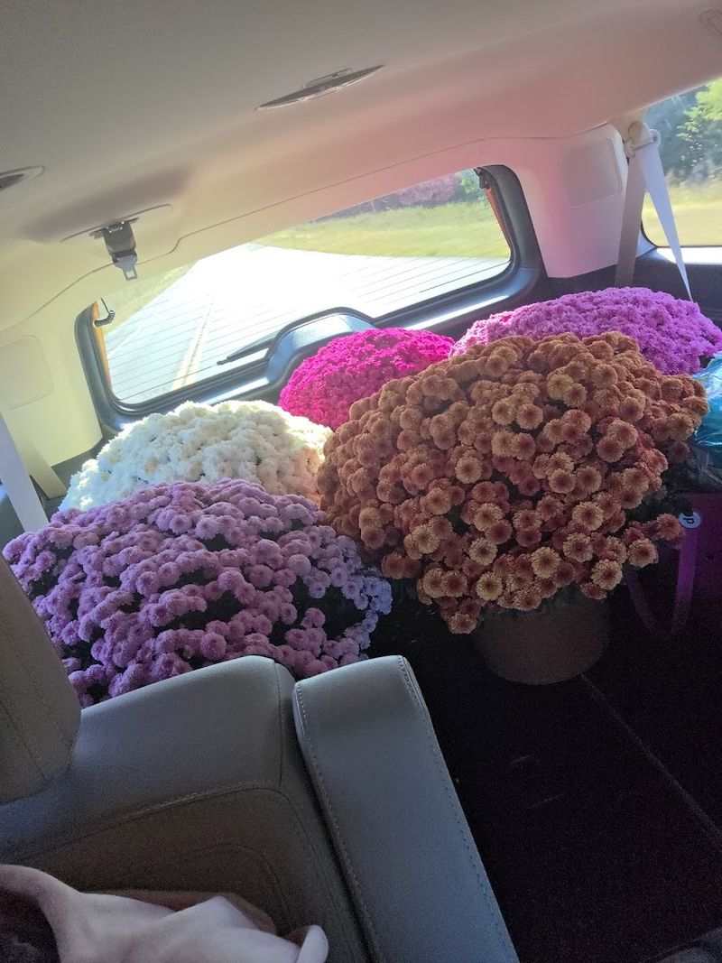 The Homemade Store Inside: More Than Just Plants