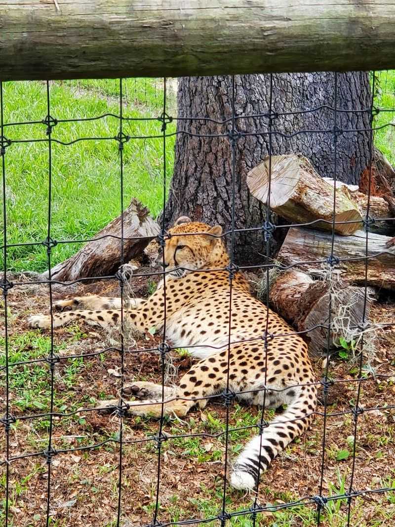 Why This Ranch Stays With You Long After You Leave