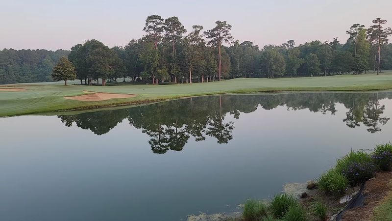 Planning Your Visit: Tips for Getting the Most Out of Barefoot