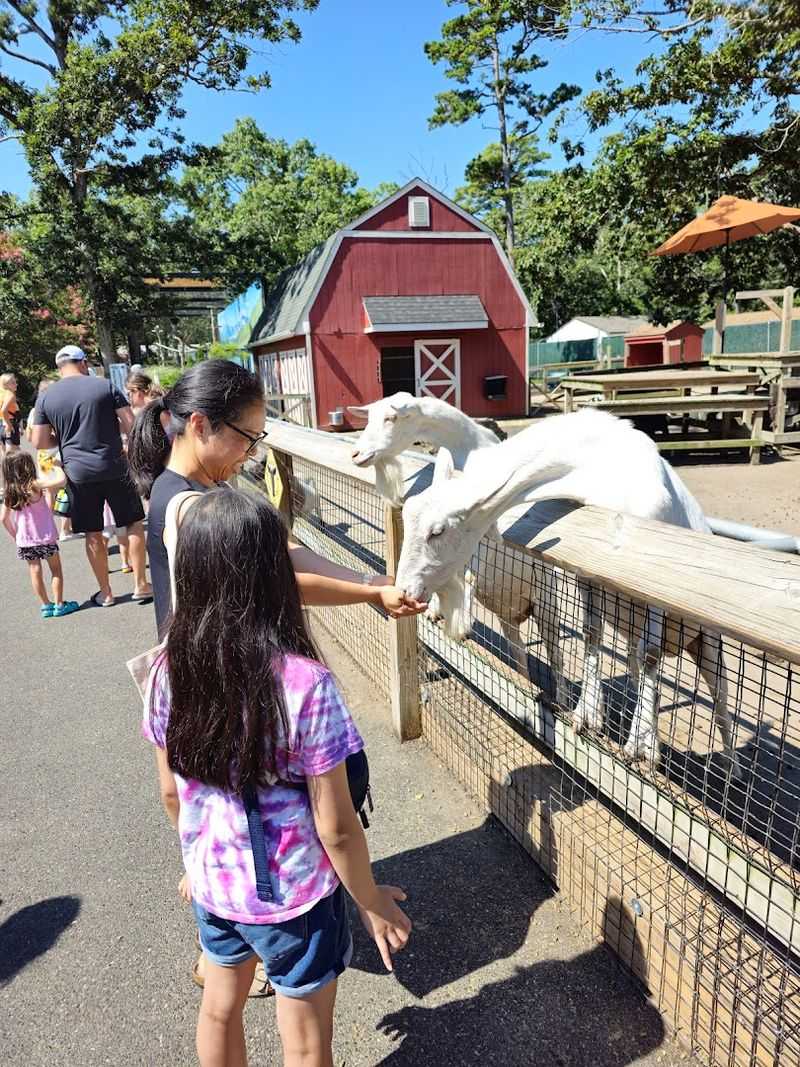 Seasonal Events That Add a Fun Layer to Your Visit