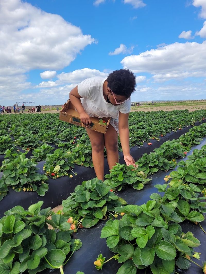 Practical Tips for Planning Your Visit