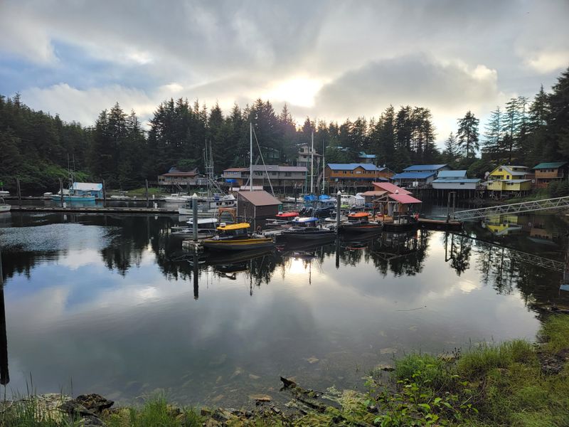 Insider Tips for Timing and Permits