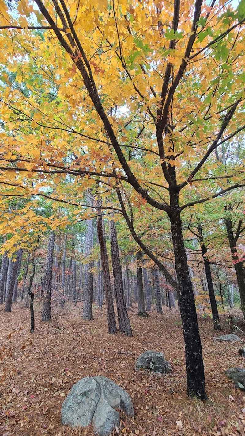 Trails for Every Kind of Explorer