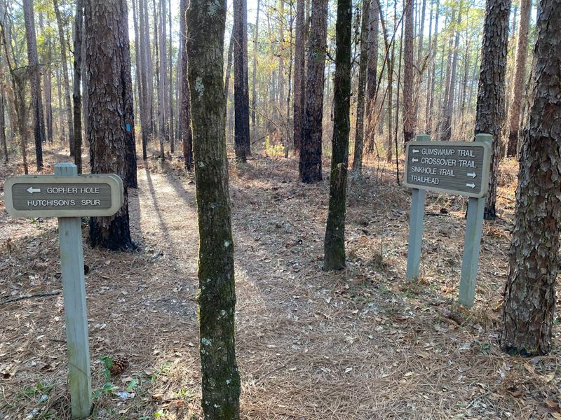 Loop Junctions and Wayfinding