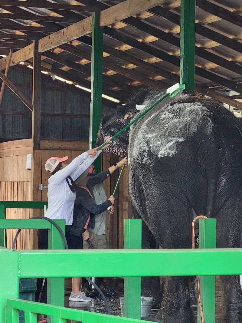 Junior Ranger Mini-Lesson