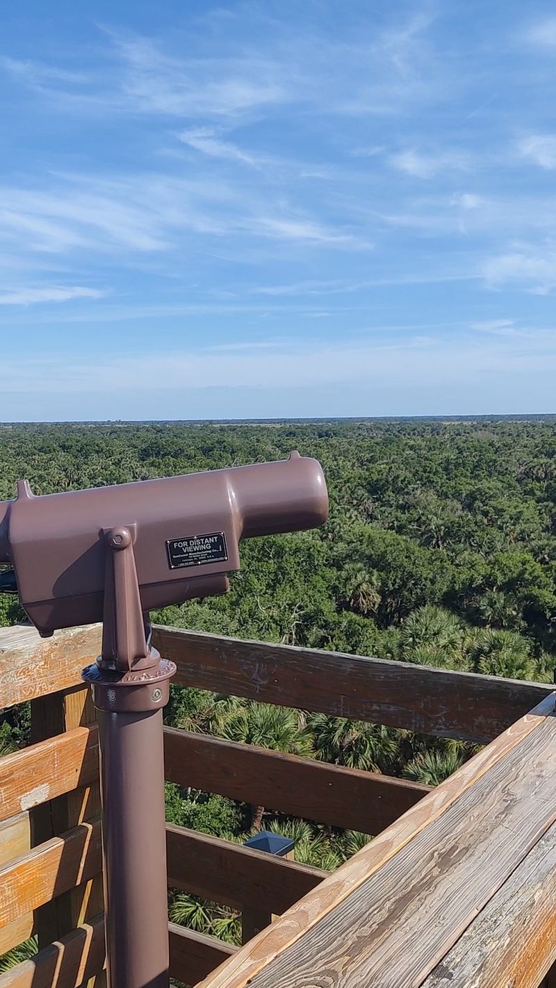 One Last Look Before You Go