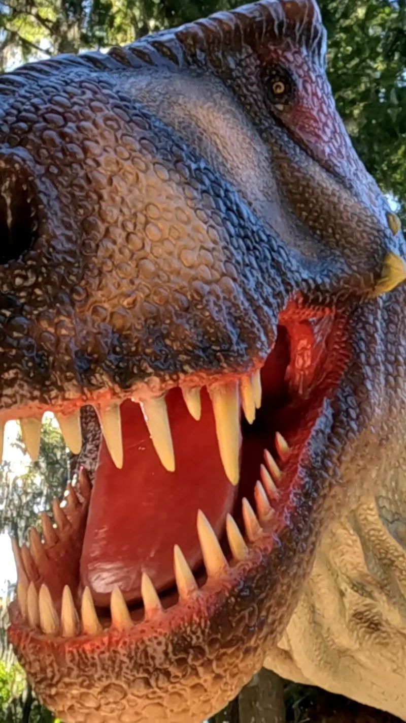 Tyrannosaurus Terrace