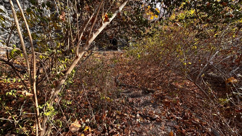 Sounds, Scents, and Small Details