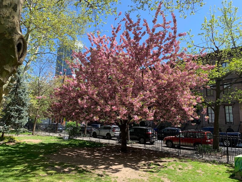 Van Vorst Park - Jersey City