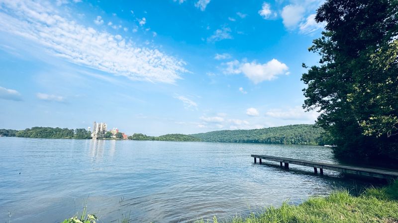 Go Fishing on Lake Catherine