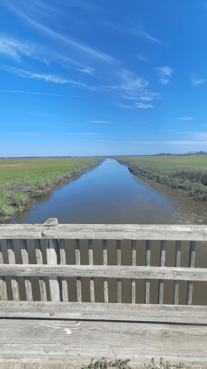 Local Context and Stewardship