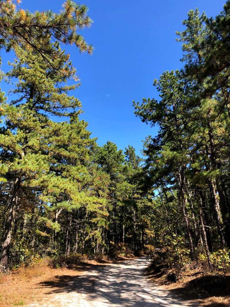 Weather, Gear, and Safety